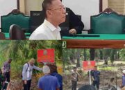Super Dewa Seorang Akuang: Kebun Sawit Disita, TBS Tetap Dipanen; Divonis 10 Tahun Tapi Tak Dipenjara