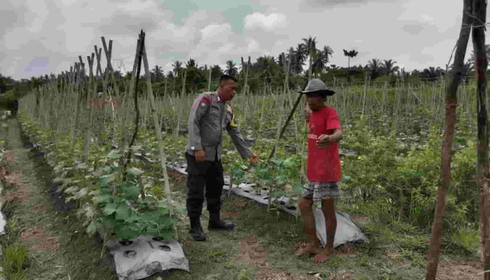 Polres Tanjungbalai Dukung Asta Cita Presiden Lewat Program Ketahanan Pangan Nasional