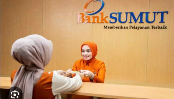 BPK: Banyak Kredit Macet di Bank Sumut Berpotensi Merugikan Negara
