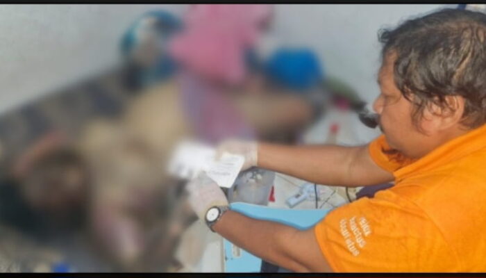 Mahasiswi Unimed Ditemukan Tewas di Kamar Kos di Medan Tembung