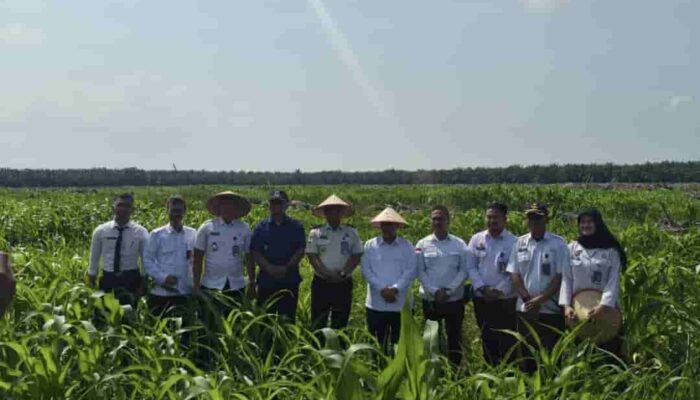 Dirpamintel Ditjenpas Tinjau Ketahanan Pangan dan Monev Pengamanan di Lapas Kelas IIA Labuhan Ruku