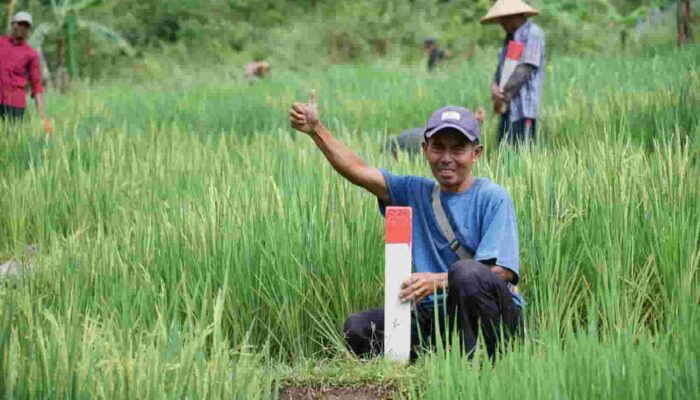 ATR/BPN Imbau Masyarakat Jaga Batas Tanah untuk Cegah Sengketa