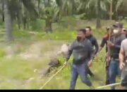 Masyarakat Desa Padang Sari Desak Polres Asahan Segera Tetapkan Tersangka Kasus Pengeroyokan di Eks HGU BSP