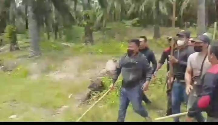 Masyarakat Desa Padang Sari Desak Polres Asahan Segera Tetapkan Tersangka Kasus Pengeroyokan di Eks HGU BSP