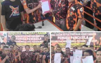 Joko Daftar Kembali, 12 Ranting Pemuda Pancasila Medan Area Nyatakan Dukungan Penuh