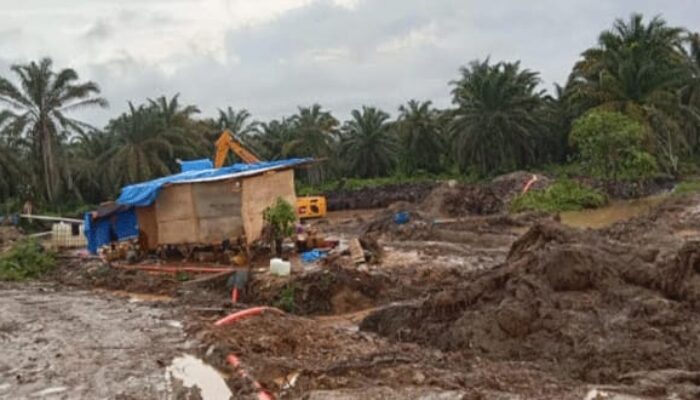 Skandal PETI di PT PSU Madina, Aktivitas Diduga Terorganisir, Pejabat Sumut Bungkam