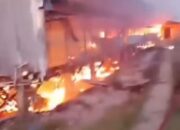 Kandang Ayam di Deli Serdang Ludes Terbakar, Kerugian Capai Ratusan Juta Rupiah