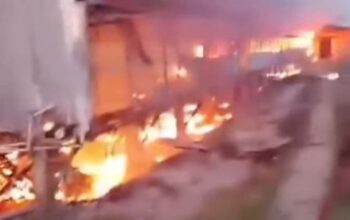 Kandang Ayam di Deli Serdang Ludes Terbakar, Kerugian Capai Ratusan Juta Rupiah