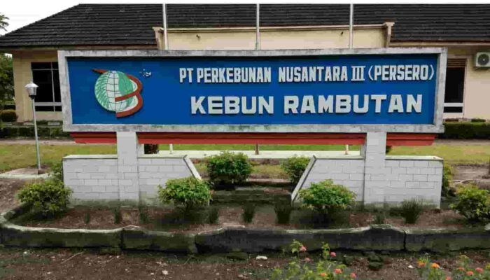 Manager Kebun Rambutan Bantah Ada Perdamaian Kasus Dugaan Pencurian TBS