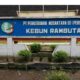Manager Kebun Rambutan Bantah Ada Perdamaian Kasus Dugaan Pencurian TBS