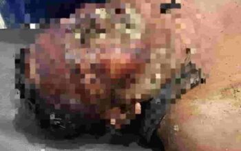Tragedi Penyerangan di Lahan Eks HGU PT BSP Asahan, Warga Kelompok Tani Babak Belur dan Nyaris Tewas