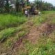 Program Ketahanan Pangan Prabowo Terancam di Labuhanbatu, Ribuan Pohon Sawit Warga Dibabat Alat Berat