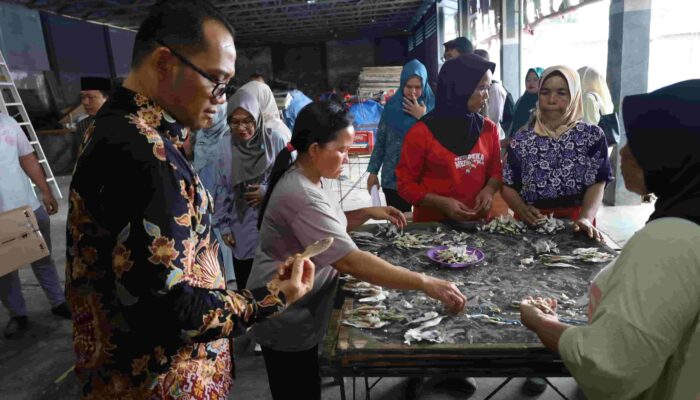 Cicip Ikan Asin hingga Sempol Ikan Teri, Plh Wali Kota Tanjungbalai Dukung Produk Khas Teluk Nibung