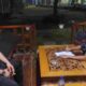 Klarifikasi Keluarga: Tuduhan Kalapas Labuhan Ruku dan Ka KPLP Minta Uang kepada Almarhum Fanny Ismail Peranginangin Tidak Benar