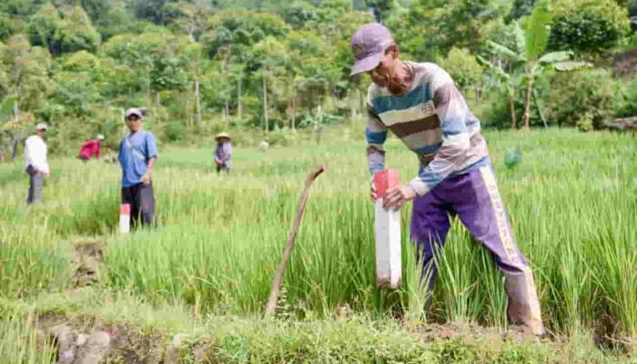 Pasang Patok Jadi Cara Sederhana Cegah Sengketa Tanah dengan Tetangga