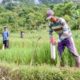 Pasang Patok Jadi Cara Sederhana Cegah Sengketa Tanah dengan Tetangga