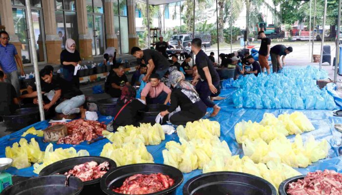 150 Ton Daging Kurban PTPN IV PalmCo Mengalir ke Pelosok Negeri
