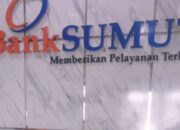 6 Nama Calon Direksi Bank Sumut ke OJK Tak Diumumkan, FABEM Sumut Soroti Transparansi Pansel