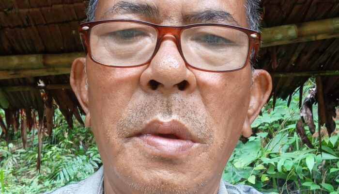 Pelaku Pengerusakan 80 Tanaman Pisang Ditangkap, Pria Tua Berterima Kasih kepada Polsek Medan Tembung