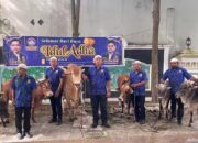 KOMBAT Sumut Sembelih 6 Ekor Sapi Kurban di Empat Lokasi pada Idul Adha 1447 H
