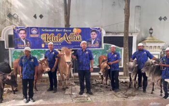 KOMBAT Sumut Sembelih 6 Ekor Sapi Kurban di Empat Lokasi pada Idul Adha 1447 H