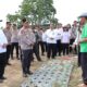 Kapoldasu Monitoring Produksi Bawang Putih di Samosir