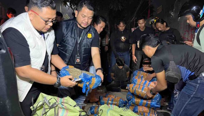Kejar-kejaran di Jalan AH Nasution, Polisi Gagalkan Pengiriman 93 Kg Ganja ke Tembung