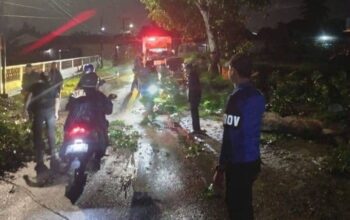 Hujan Deras dan Angin Kencang, Pohon Tumbang di Binjai Hujan Deras dan Angin Kencang, Pohon Tumbang di Binjai