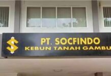 IWO Batubara Minta Pansus Plasma Panggil PT Socfindo soal Dugaan Rekayasa CPCL