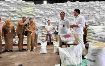 Bulog Sumut Salurkan Beras dan MinyaKita, Harga Mengacu Ketentuan Pemerintah