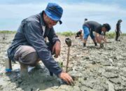 Peringati Hari Kelautan Nasional dan Hari Mangrove Sedunia, NAFAS, POSSI Sumut dan Mapala PTMSI I Gelar Aksi Bela Negara 2026