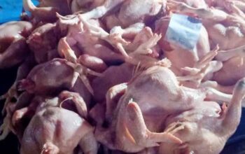AYAM POTONG DI MEDAN TEMBUS Rp50 RIBU SEKILO! WARGA MENGELUH: TAMBAH Rp10 RIBU LAGI SUDAH DAPAT SETENGAH KILO DAGING