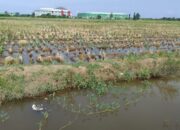 IMG-20260910-WA0013