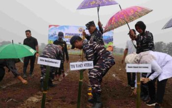 Kodaeral I Tanam Kedelai di Deli Serdang, Perkuat Sinergi dan Ketahanan Pangan Masyarakat
